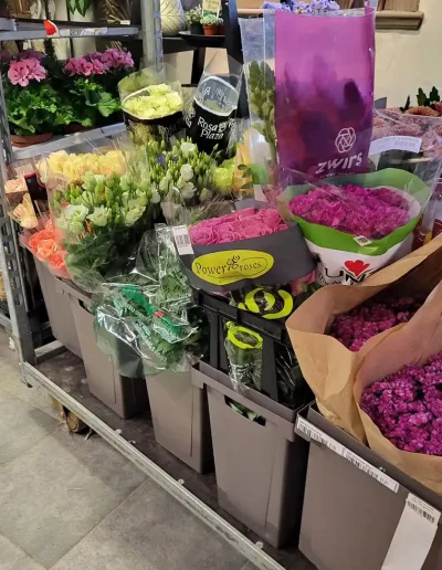 Ny vecka och nya blommor i butiken